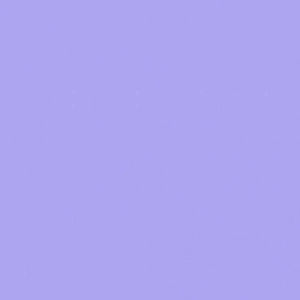 Meet your Posher, Rainer